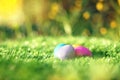 Collection of colorful Easter eggs in grass