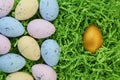 Collection of colorful Easter eggs and a single golden egg Royalty Free Stock Photo