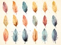 A Collection Of Colorful Feathers