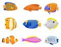 Collection of colorful fish on white background. Royalty Free Stock Photo
