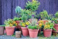 Collection of  colorful flowers and ornamental plants in pots on a corner of town street Royalty Free Stock Photo