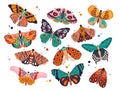 Collection of colorful hand drawn butterflies and moths on white background. Stylized flying insects, vector