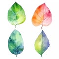 Collection of Colorful Leaf Illustrations in Watercolor Painting, Generative AI