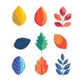 Collection colorful leaves, various shapes designs. Set autumn leaves, flat design, isolated white