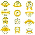 Collection of colorful lemon labels