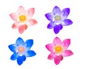 Collection colorful lotus flower for decorate isolated