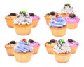 Collection of colorful of mini tasty cupcake isolated on white b