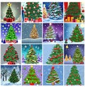 Collection of 16 colorful painted chrismas trees