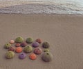 A collection of colorful sea urchins on wet sand beach with sea in the background, outdoor summer scene. Royalty Free Stock Photo