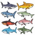 Collection colorful sharks, various species illustrations. Different shark types, marine life