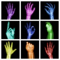 Collection of colorful x-ray hands Royalty Free Stock Photo