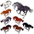 Collection colors of horses