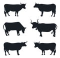 Collection of Cows isolated vector isolated silhouettes