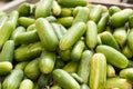 Collection of cucumbers growing in greenhouses in the kibbutz in Israel Royalty Free Stock Photo