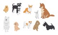 Collection of cute baby dogs cartoon hand drawn style. Collection of dog characters, flat illustration for design, decor, print, Royalty Free Stock Photo