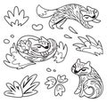 Collection of cute black and white foxes with floral elements inside