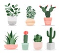 Set of cactus succulent plants in pots. Cacti houseplants indoor plants vector illustration. Royalty Free Stock Photo