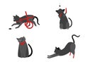 Collection of cute cats with disabilities. A bunch of happy pets or pets with artificial legs or artificial legs. Colorful Royalty Free Stock Photo