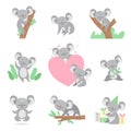 Collection of Cute Coala Bear Animals Cartoon Characters in Different Situations Vector Illustration