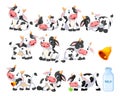 Collection of cute cow with various posing