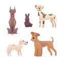 Collection cute different type of dogs small and big. Cartoon illustrations happy doggy or puppy. Pet animal clip art Royalty Free Stock Photo