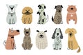 Collection of cute dogs. Set of 10 doodle pets on a white background Royalty Free Stock Photo