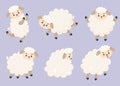 Collection cute farm animals sheep. Vector illustration. Isolated cartoon animals for kids collection, design, decor Royalty Free Stock Photo