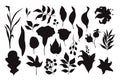 Collection of cute floral flower doodle isolated vector isolated silhouettes