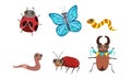 Collection of Cute Funny Cartoon Insects Set, Caterpillar, Butterfly, Ladybug, Earthworm, Deer Beetle Vector Royalty Free Stock Photo