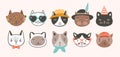 Collection of cute funny cat faces or heads wearing glasses, sunglasses and hats. Bundle of various cartoon animal