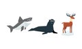 Collection of cute geometric animals, shark, fur seal, elk vector Illustration