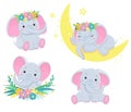 Collection of cute grey elephants. Children illustration