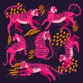 Collection of cute hand drawn bright pink tigers on purple background, standing, sitting, running and walking with exotic plants