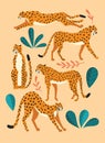 Collection of cute hand drawn cheetahs on pink background, standing, stretching, running and walking with exotic plants Royalty Free Stock Photo