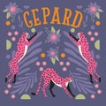 Collection of cute hand drawn pink cheetahs jumping and stretching on dark purple background with exotic plants and hand lettering