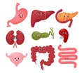 Collection cute human cartoon organs. Gastrointestinal tract. Vector flat cartoon character illustration design. Anatomy