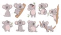 Collection cute koala in different poses. Hand drawn doodle of lazy animals. Cute cartoon bear characters Royalty Free Stock Photo