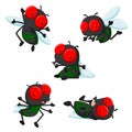 Collection of cute little cartoon flies Royalty Free Stock Photo