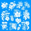 Simple and cute aloha shirt material collection,