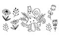 Collection Cute snail and decorative flowers, daisies and twigs. Linear hand drawing. Vector illustration. Isolated Royalty Free Stock Photo