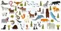 Collection of cute vector animals. Hand drawn animals which are common in America, Europe, Asia, Africa. Icon set