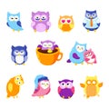 Collection of cute vector owls. Cartoon characters.