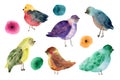 Collection of cute watercolor doodle birds