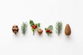 Collection of decorative Christmas plants. Acorn, pine cones and berries