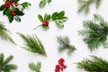 Collection of decorative Christmas plants with green leaves and Royalty Free Stock Photo