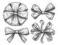 Set of bows. Collection of decorative holiday ribbons for birthday, wedding or Christmas celebration