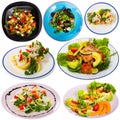 Set of various salads isolated Royalty Free Stock Photo