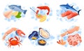 Collection delicious seafood products serving into ice cubes, lemon, herb mint vector flat