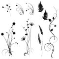 Collection for designers, meadow, plants vector set