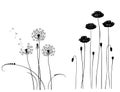 Collection for designers, wild plant vector